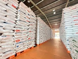 Stok Beras Nasional 3,74 Juta Ton Bulog Minta Warga Tak Panic Buying