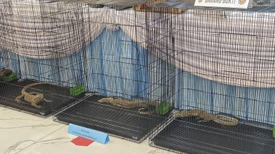 Polda Jatim Bongkar Sindikat