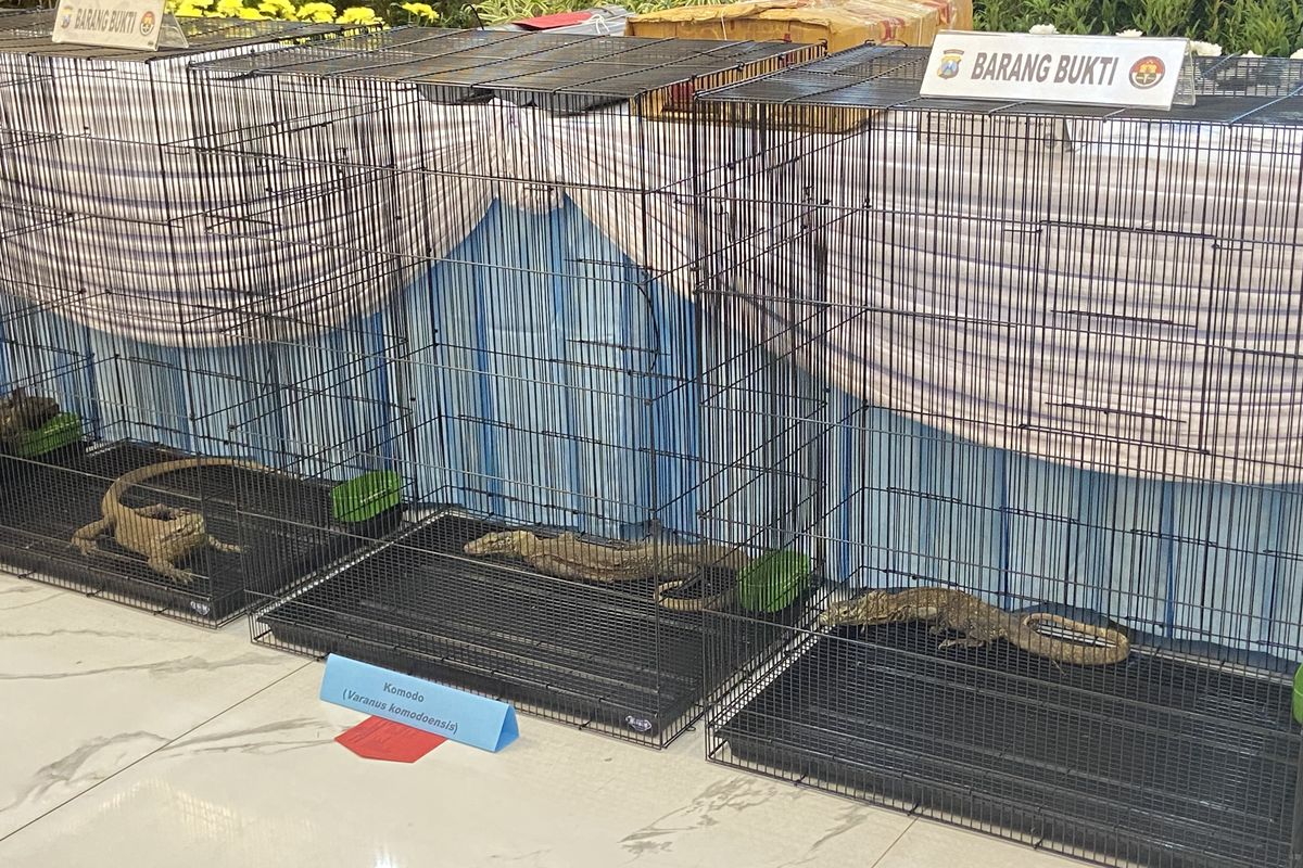 Polda Jatim Bongkar Sindikat