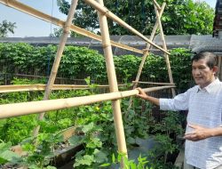 Cerita Anggota DPRD Jabar Terapkan Pertanian Organik Terpadu di Pekarangan Rumah