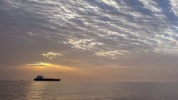 Penutupan Selat Hormuz Ubah Jalur Perdagangan Pengiriman Dialihkan Lewat Darat