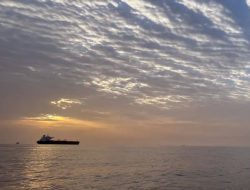 Penutupan Selat Hormuz Ubah Jalur Perdagangan Pengiriman Dialihkan Lewat Darat
